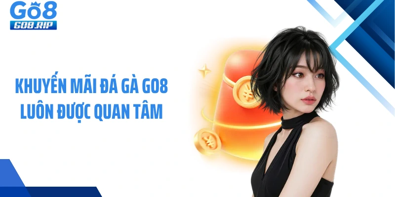 Khuyến mãi đá gà GO8 luôn được quan tâm
