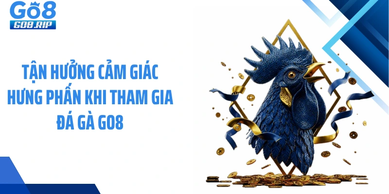 Tận hưởng cảm giác hưng phấn khi tham gia đá gà GO8