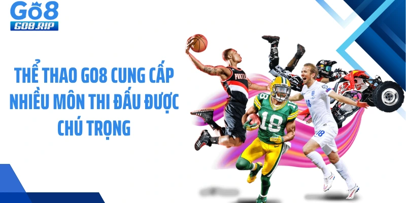 Thể thao GO8 cung cấp nhiều môn thi đấu được chú trọng